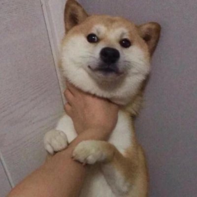 lxk955's profile picture. 低风险理财、撸毛