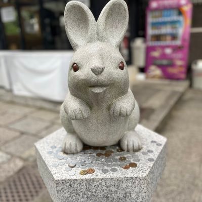 h6_ruru's profile picture. 