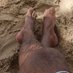 Nego peludo (@paugros31912762) Twitter profile photo Nego peludo (@paugros31912762) Twitter profile photo