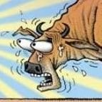 namoxfarm's profile picture. 🚮