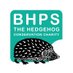 Hedgehog Society (@hedgehogsociety) Twitter profile photo