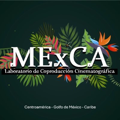 Entertainment and culture promotion from Central America, Gulf of Mexico and the Caribbean. Coproduction Lab - November 2024