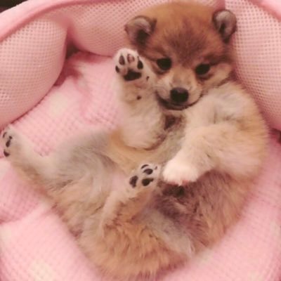 Luckoma358's profile picture. 