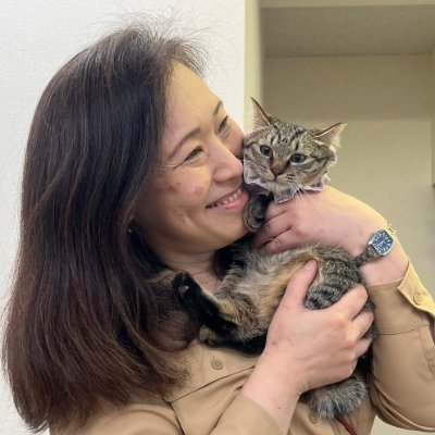 花ねこ千葉では個人で保護された猫さんのずっとのおうちを探してます。保護猫さんをご家族に迎えたい方ぜひお問い合わせ下さい。お問い合わせはDM、若しくはHPからお願いします👉https://t.co/d29C7QEnck ↓欲しいものリストよりご支援いただけますと大変助かります🙇♀️