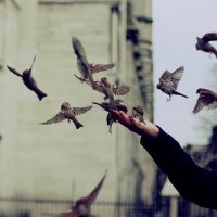 فاطمة طارق الحكمي (@fatimahakamic) Twitter profile photo