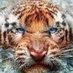 roux (@rouxgaroux77) Twitter profile photo roux (@rouxgaroux77) Twitter profile photo