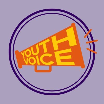 Youth Voice D2N2