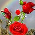 Ara Soysa (@aramiss1957) Twitter profile photo Ara Soysa (@aramiss1957) Twitter profile photo