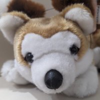 Ichiro Uematsu (@ichiroyqz01403) 's Twitter Profile Photo Ichiro Uematsu (@ichiroyqz01403) 's Twitter Profile Photo