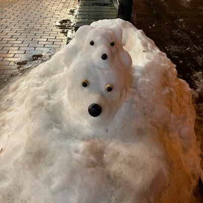 meeさんのプロフィール画像