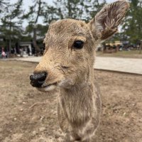 あ (@0220_reon10) 's Twitter Profile
