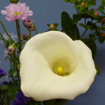 ken26256656's profile picture. 音楽が大好物です♪　但し演歌を除く(笑)
Jazzが好きでJazz喫茶巡りもしてますけど・・・
スポーツは全般を観ますがアメフトが一番かな😉
1955生まれ