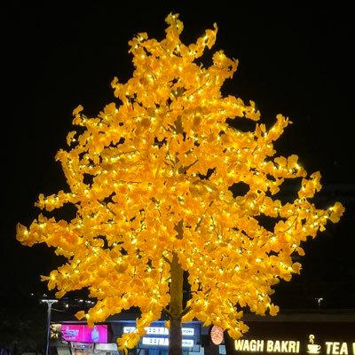 bippan1507's profile picture. Crafting web apps