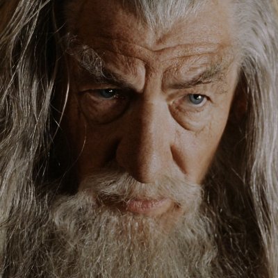 mainnet_z22976's profile picture. 