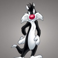 Salman Alwani (@samalwani) 's Twitter Profile Photo