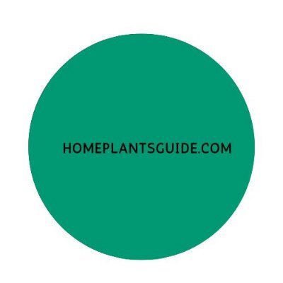 homeplantsguide Profile Picture