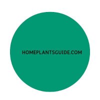 homeplantsguide.com(@homeplantsguide) 's Twitter Profile Photo