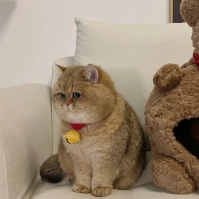 Davida51476900's profile picture. 若者の肩には草を育てる英飛と明るい月と風が宿るはずだ