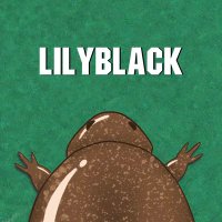 LilyBlack(@LilyBlackkkk) 's Twitter Profile Photo