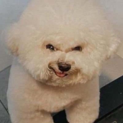 S5rank's profile picture. 醤油は減塩