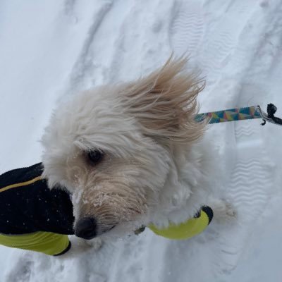 taiyaki14822's profile picture. うにゅ