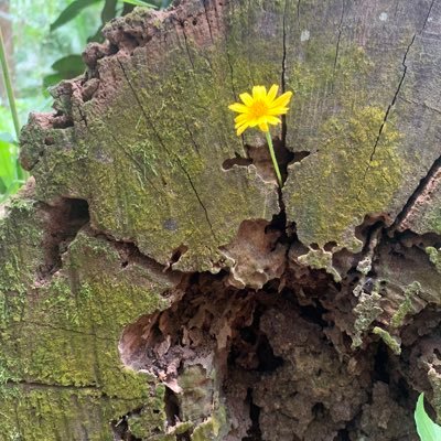 Mac_mah2024's profile picture. 