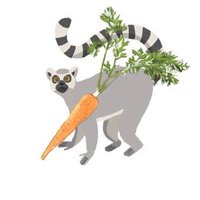 bun🥕 (@bun_no2329) 's Twitter Profile Photo bun🥕 (@bun_no2329) 's Twitter Profile Photo