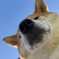 笹原にしき (@sasanishin) 's Twitter Profile Photo 笹原にしき (@sasanishin) 's Twitter Profile Photo