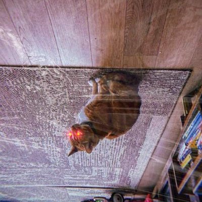 Ansem's cat flipped upside down.

TG:  https://t.co/bpwNnHHK5n