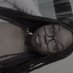 Niah Pooh🟣 💜 (@niah4short) Twitter profile photo Niah Pooh🟣 💜 (@niah4short) Twitter profile photo