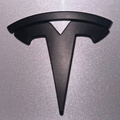 TeslaVision_