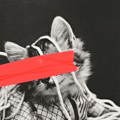 MPlayporn12440's profile picture. لست اطيب شاب..  ولا املك آكبر قلب,, ومقتنع جدا ان شخصيتي ليست كامله ,, انسان طبيعي جدآ,, اغرد بكل ماأراه جميل .. وطني عشق وانتماء لا ينتهي..#