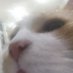 Zeevas (@zeevas_) Twitter profile photo Zeevas (@zeevas_) Twitter profile photo