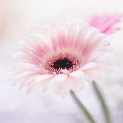 Brystyyy13563's profile picture. 