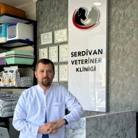 Volkan TOKER (@vlkntkr) 's Twitter Profile Photo Volkan TOKER (@vlkntkr) 's Twitter Profile Photo