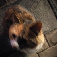 木海 (@berry_jetty) 's Twitter Profile Photo 木海 (@berry_jetty) 's Twitter Profile Photo