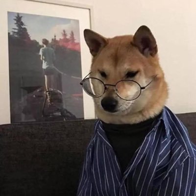 xuehuikezhi's profile picture. 中国人