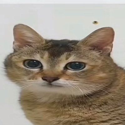 alfino_feriza's profile picture. 