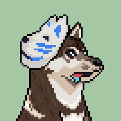 🐾 Woof woof ~🌒 A pack of #Shikoku dogs living in the #Solana blockchain ⛩️ 🐺 Japan soul - https://t.co/splyEhkPys