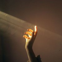 Sara Moktar (@dietolive750) 's Twitter Profile Photo Sara Moktar (@dietolive750) 's Twitter Profile Photo