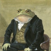 Colonel Toad(@coloneltoadcoin) 's Twitter Profile Photo