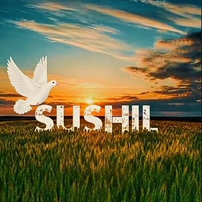 Kush83488Kush's profile picture. 