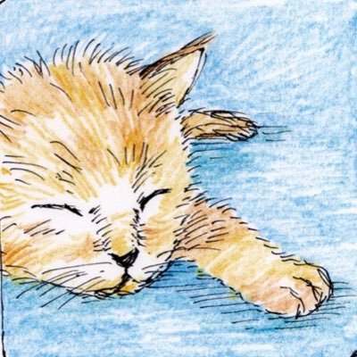 kuro202007's profile picture. 50代おじ バスケ好き