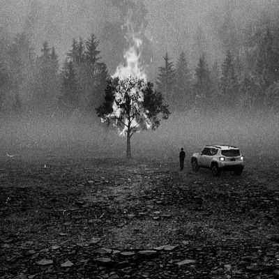 sceneries49217's profile picture. 