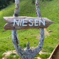 Niesen Mann(@Niesenmann) 's Twitter Profile Photo