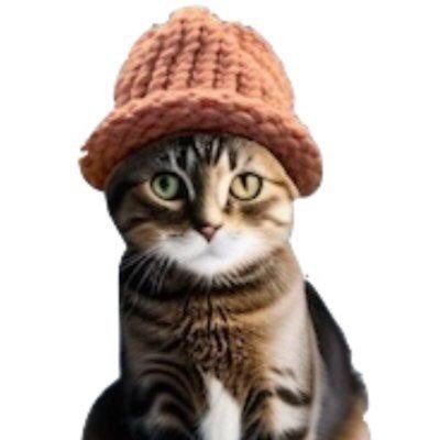 Catwifhat $CWIF  $SOL The hattest cat on Solana, wif a 4% auto-burn per on-chain transaction 🔥 catwifhatsolana