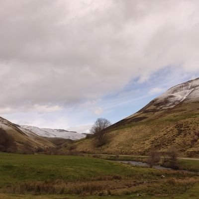 🐺 Bióloga | Guarderío - Mendizaintza
⛰️ Hiking adventures with 🐶 Sloth & Link
🏹 Compound archery
🏞️ Outdoors 
📍Navarra