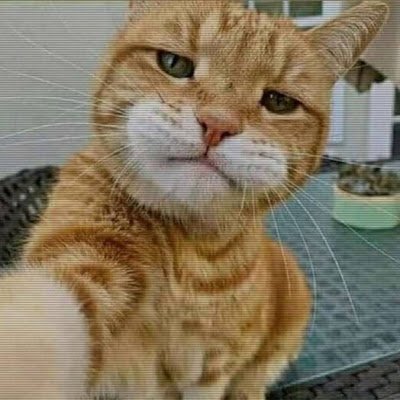 ley_namsu13626's profile picture. 