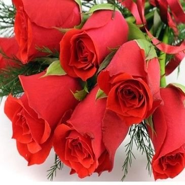 Iman54638473644's profile picture. 💯💯💯💯💯💯💯Follwo💯💯💯💯💯💯 Back