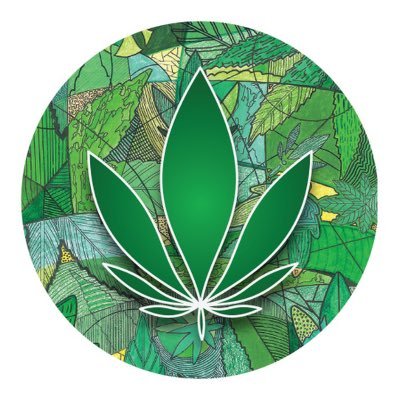 NPO challenging #Dagga prohibition. PLEASE join our Green Network #stopthecops @DaggaCouple @JoinTheQSA #CannabisCanHelpSA #noplantcounting whatsapp 0631740938